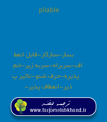 pliable به فارسی